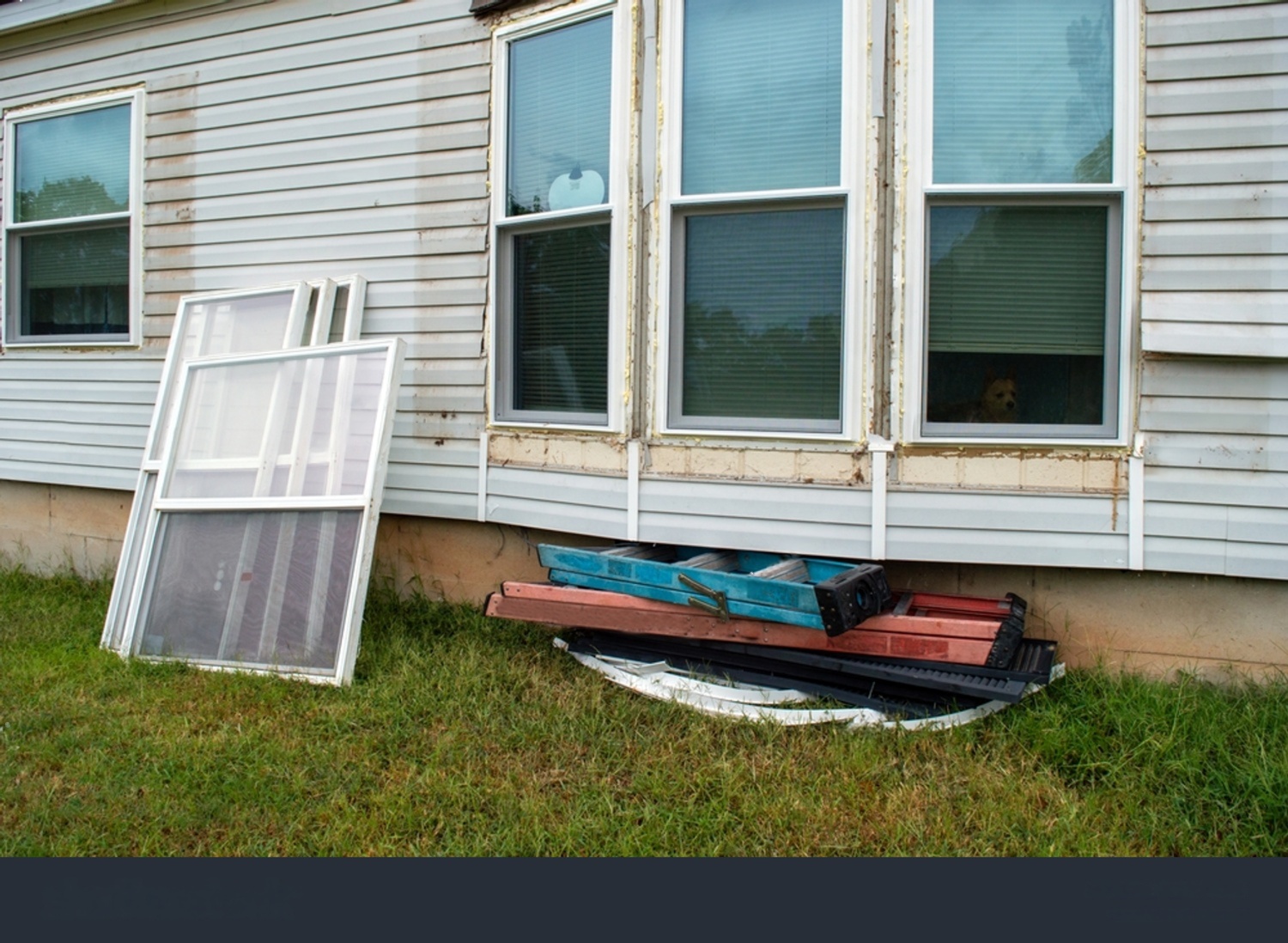 wmremove-transformed (4) copy